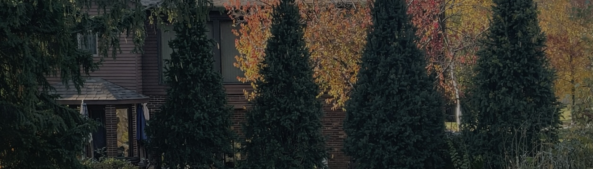 Evergreen Privacy Screening