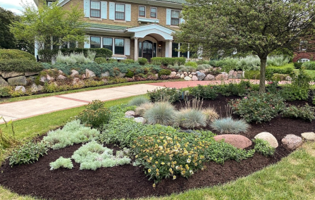 Landscape Renovation