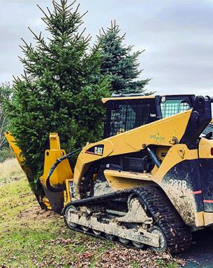 Tree Relocation