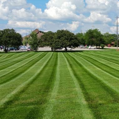 Commercial Landscape Maintenance