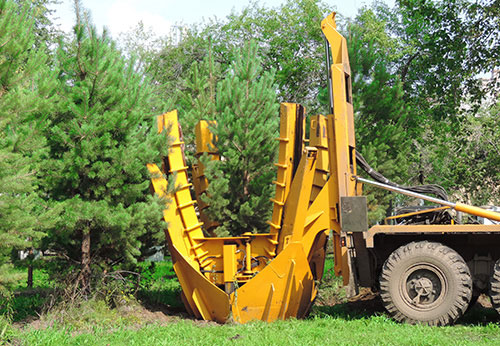 Spading & Relocating Services