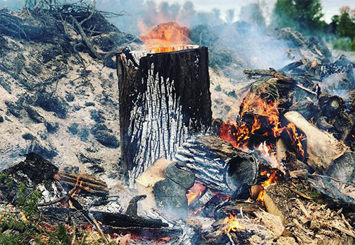 Tree Removal & Stump Grinding