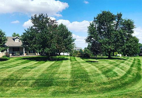 Field Mowing & Lot Clearing