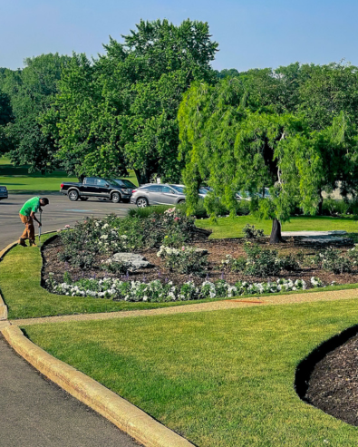 Commercial Landscape Main