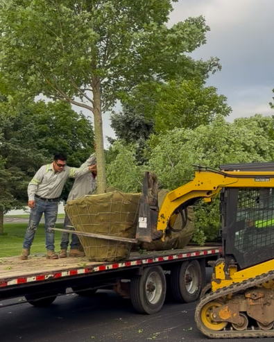 Commercial Landscape Construction
